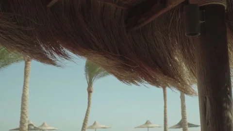 By the sea Video stock 86333194