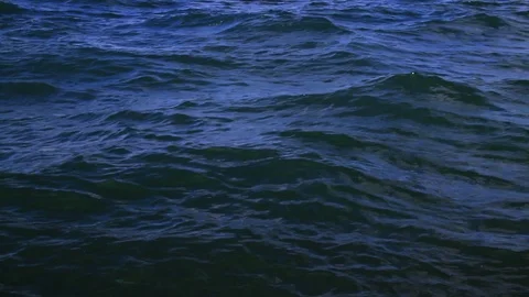 Sea Stock Footage 100663735