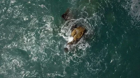 SEA Stock Footage 106338433