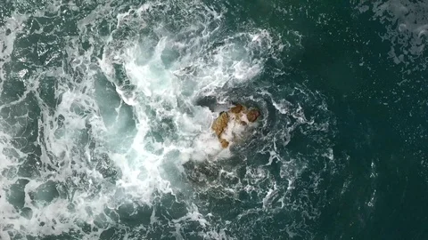 SEA Stock Footage 106339292