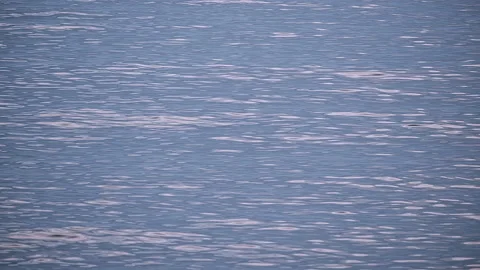 Sea Stock Footage 137765110