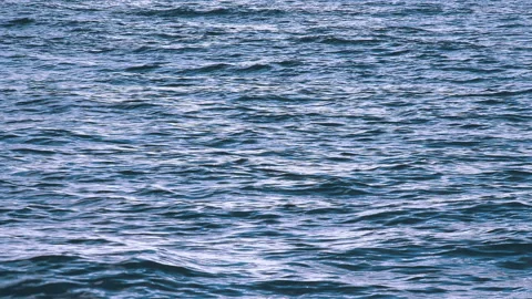 Sea Stock Footage 137802475