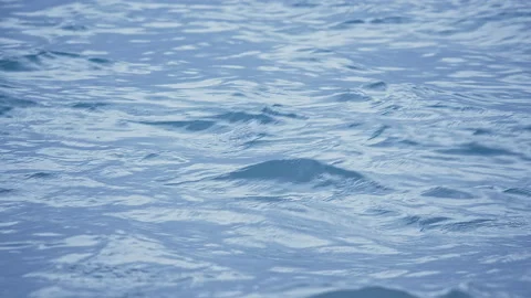 Sea Stock Footage 137862048