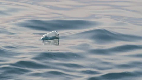 Sea Stock Footage 137865250