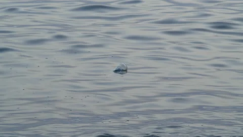 Sea Stock Footage 137882683