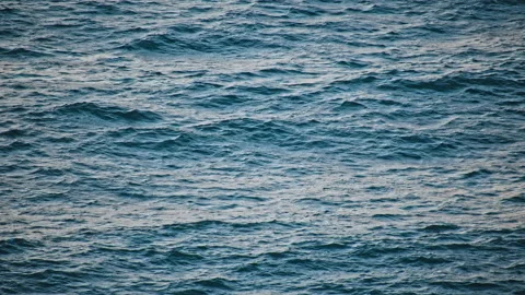 Sea Stock Footage 137908775