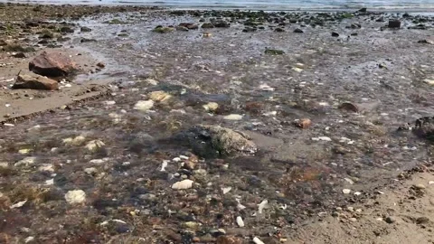 Into The Sea Stock Footage 154168231