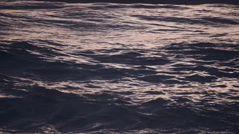 Sea Stock Footage 157405621