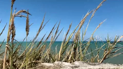 By the sea Stock Footage 157755563