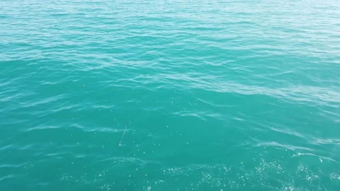 Sea Stock Footage 195155513