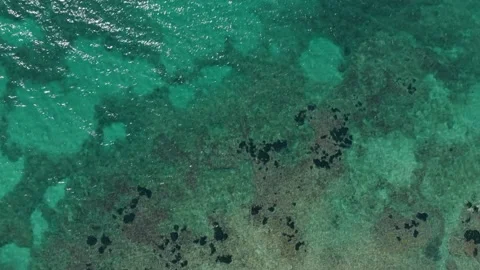 On the sea Vídeos de archivo 196981931