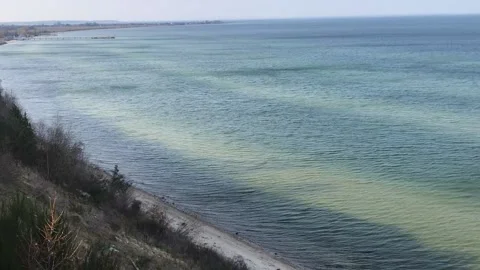 Sea Vidéo 204815875