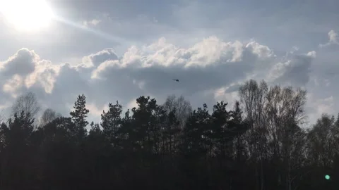 Sea Vidéo 204815876