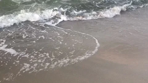 Sea Vidéo 204815944