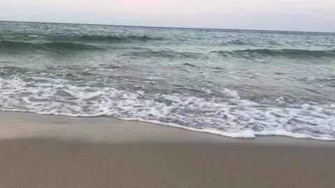 Sea Vidéo 204815963