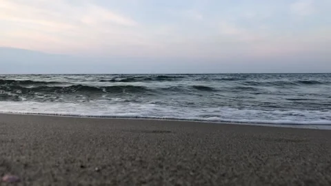 Sea Vidéo 204815998