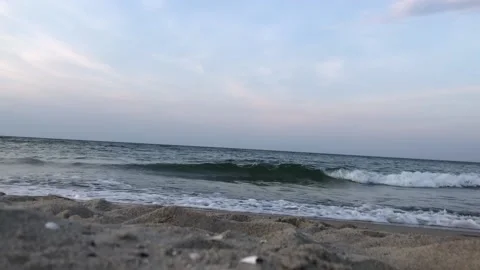 Sea Vidéo 204816011