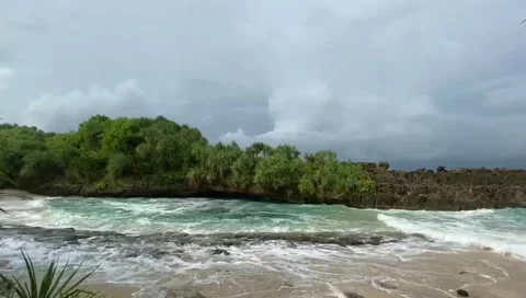 Sea Vídeos de archivo 213323562