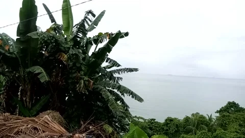 Sea Stock Footage 226262007