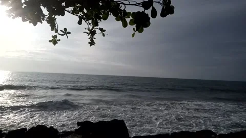 Sea Stock Footage 227467163