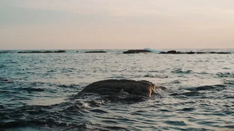 Sea Stockbeeldmateriaal 245232499