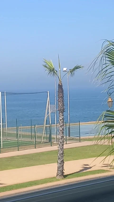 Sea Stock-Footage 252507553