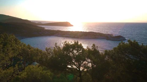 Sea, Forest and Sunset Stockbeeldmateriaal 126794312