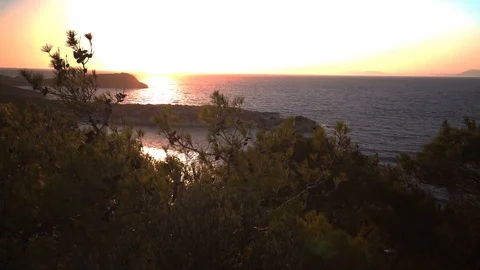 Sea, Forest and Sunset Stock Footage 126849871