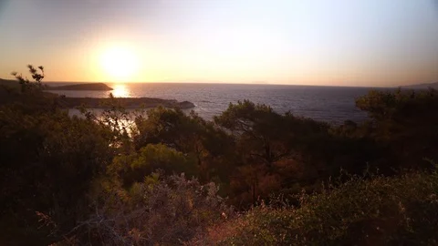 Sea, Forest and Sunset Stock-Footage 126884665