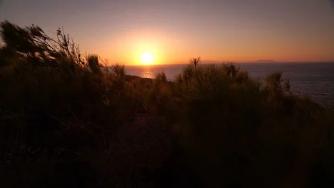 Sea, Forest and Sunset Stock Footage 126934349