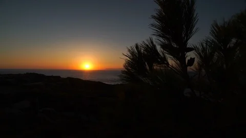 Sea, Forest and Sunset 動画素材 126949048