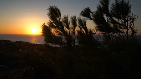 Sea, Forest and Sunset Stock Footage 126950184