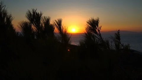 Sea, Forest and Sunset Video stock 126960532