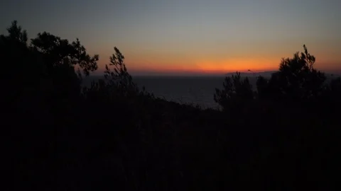 Sea, Forest and Sunset 動画素材 127009543