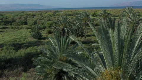Sea of Galilee Stock Footage 144055218