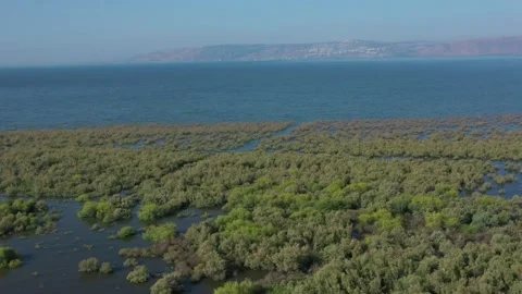 Sea of Galilee Stock Footage 144055223