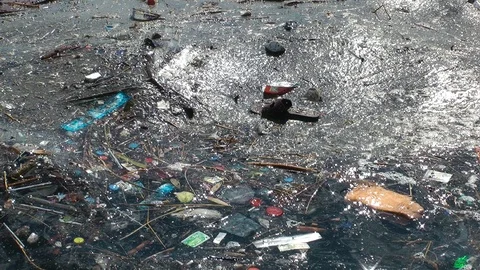 Sea Garbage Polluted 10 Stock Footage 95910720