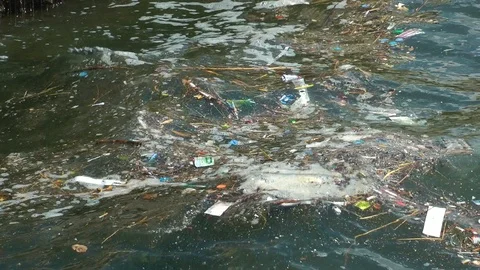 Sea Garbage Polluted 11 Stock Footage 95882627