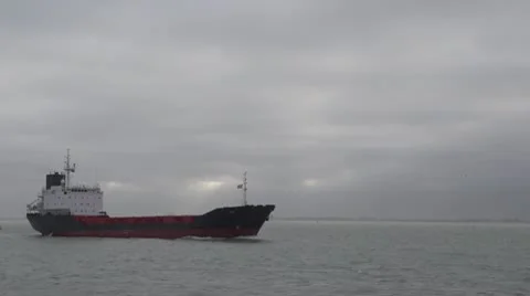 Sea going bulk carrier ship Video stock 10572338