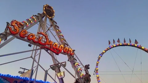 Sea Gragon Video stock 96019100