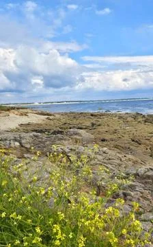The sea at Graves in Morbihan Stock Photos