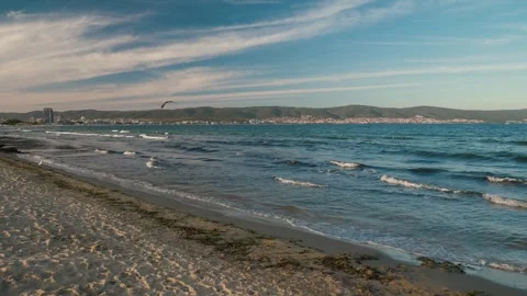 Sea gull Beachfront View 스톡 동영상 303385288