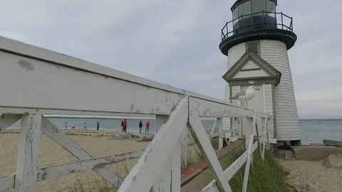 Sea Gull Fly At Lighthouse Video stock 104841747