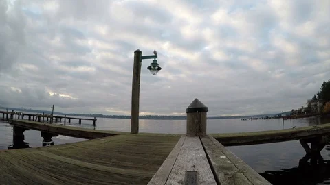 Sea gull standing on a lamp post at Lake Washington Stock Footage 121237885