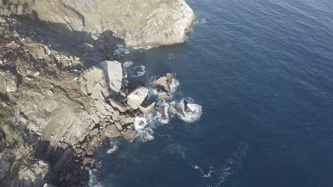 Sea gulls flying over the waves breaking in the coast of Lekeitio Stock Footage 106582451