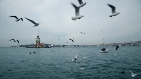 Sea gulls in slow motion in front of The Maiden's Tower in Istanbul, Turkey Stock Footage 98318837