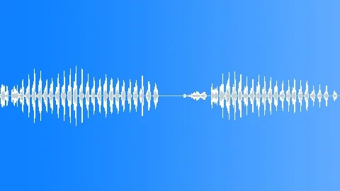 Sea Gulls Sound Effect