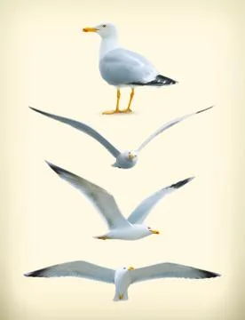 Sea gulls vector icon set Stock Illustration
