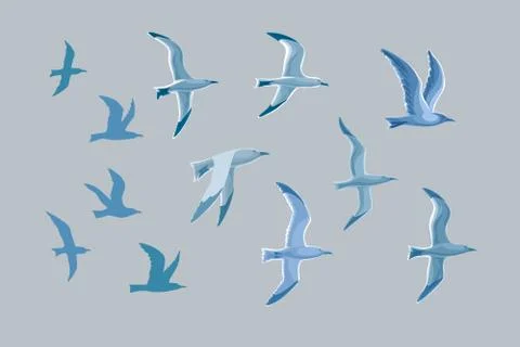 Sea gulls vector set Stock Illustration