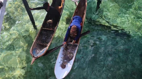 Sea gypsy Vidéo 114343545